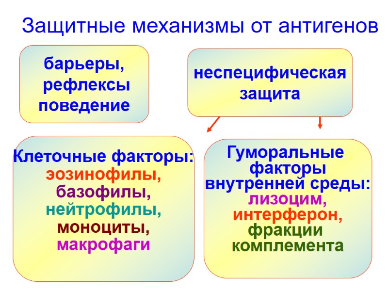 Защитные механизмы от антигенов неспецифическая защита барьеры,  рефлексы поведение Клеточные факторы: эозинофилы, базофилы,